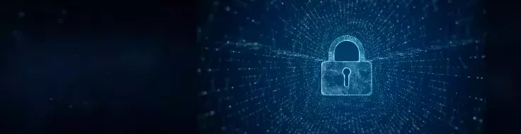 Privacy Series (692x438)